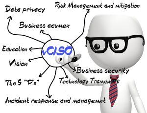 Virtual Chief Information Security Officer vCISO